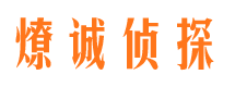 宝山区调查事务所